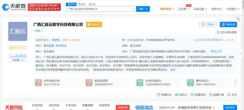 TCL跨界布局新能源，成立數字科技公司聚焦新興能源技術研發